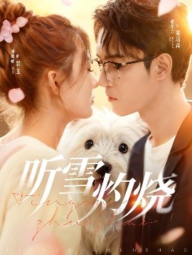 听雪灼烧全集