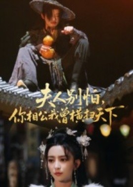 夫人别怕，你相公我曾横扫天下全集