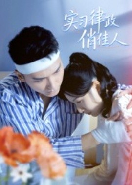 实习律政俏佳人全集