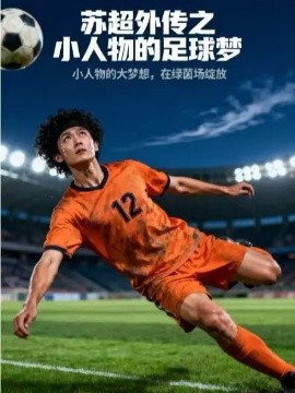 苏超外传之小人物的足球梦全集