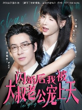 闪婚后，我被大叔老公宠上天全集