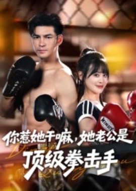 你惹她干嘛，她老公是顶级拳击手全集