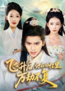 飞升后，他在回忆里万劫不复全集