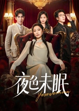 夜色未眠全集