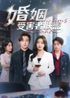 婚姻受害者联盟全集