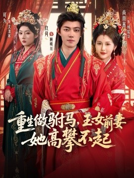 重生做驸马，玉女前妻她高攀不起全集