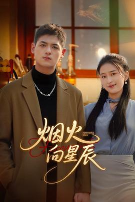 烟火向星辰全集