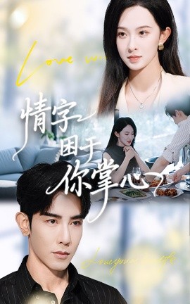 情字困于你掌心全集