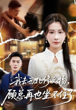 我去西北修文物，顾总再也坐不住了全集