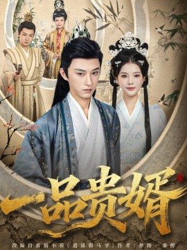 一品贵婿全集