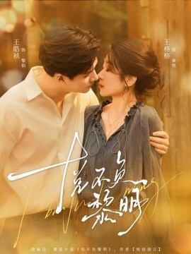 悦不负黎明全集