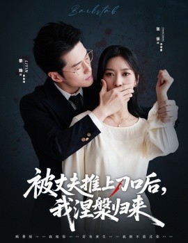 复婚抱歉我只谈判不谈情 被丈夫推上刀口后，我涅槃归来全集