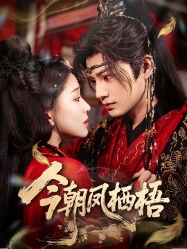 今朝凤栖梧全集