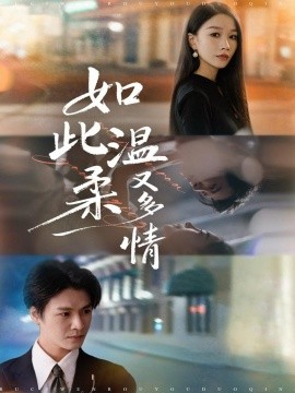 如此温柔又多情全集