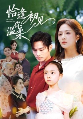 恰逢初见你温柔全集