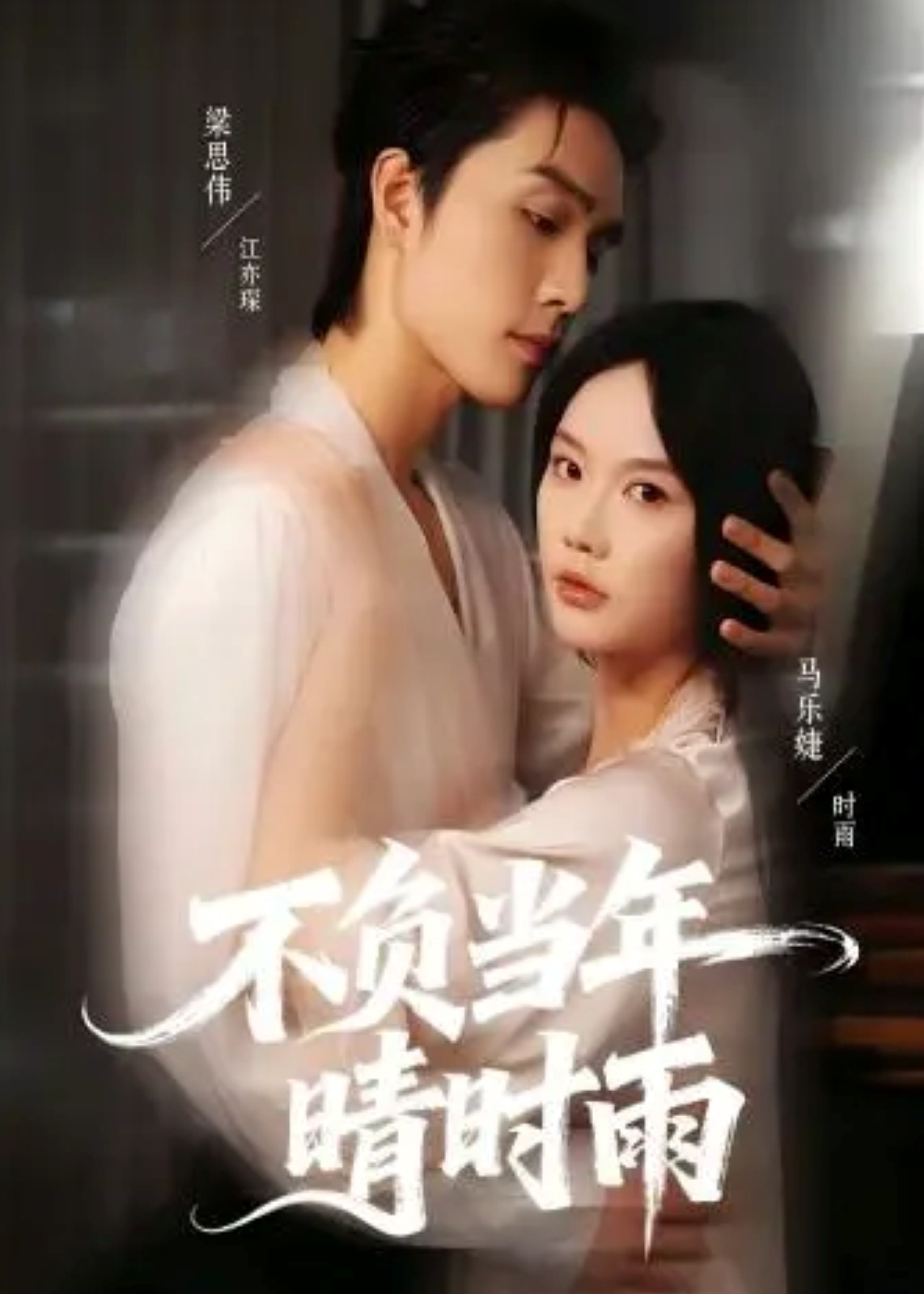 不负当年晴时雨全集