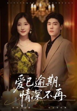 爱已逾期，情深不再全集
