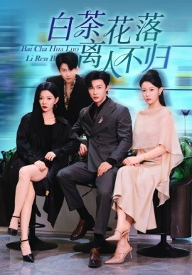 白茶花落离人全集