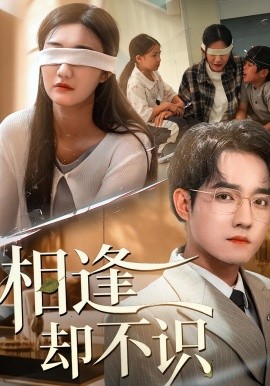 相逢却不识全集