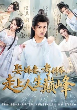 娶娇妻，考科举，走上人生巅峰全集