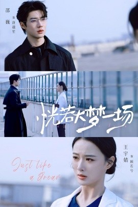 恍若大梦一场全集