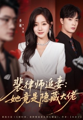 裴律师追妻：她竟是隐藏大佬全集
