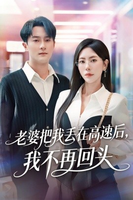 老婆把我丢在高速后，我不再回头 赠她心跳余温爱意焚作尘烟全集