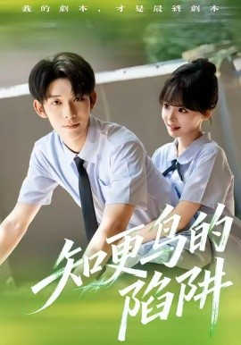 知更鸟的陷阱全集