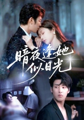 暗夜逢她似日光全集
