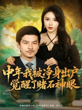 中年我被净身出户，觉醒了赌石神眼全集