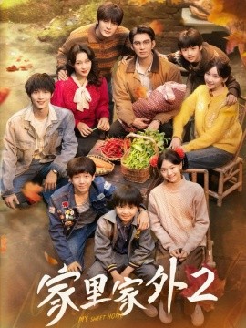 家里家外2全集