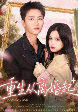 重生从离婚起全集