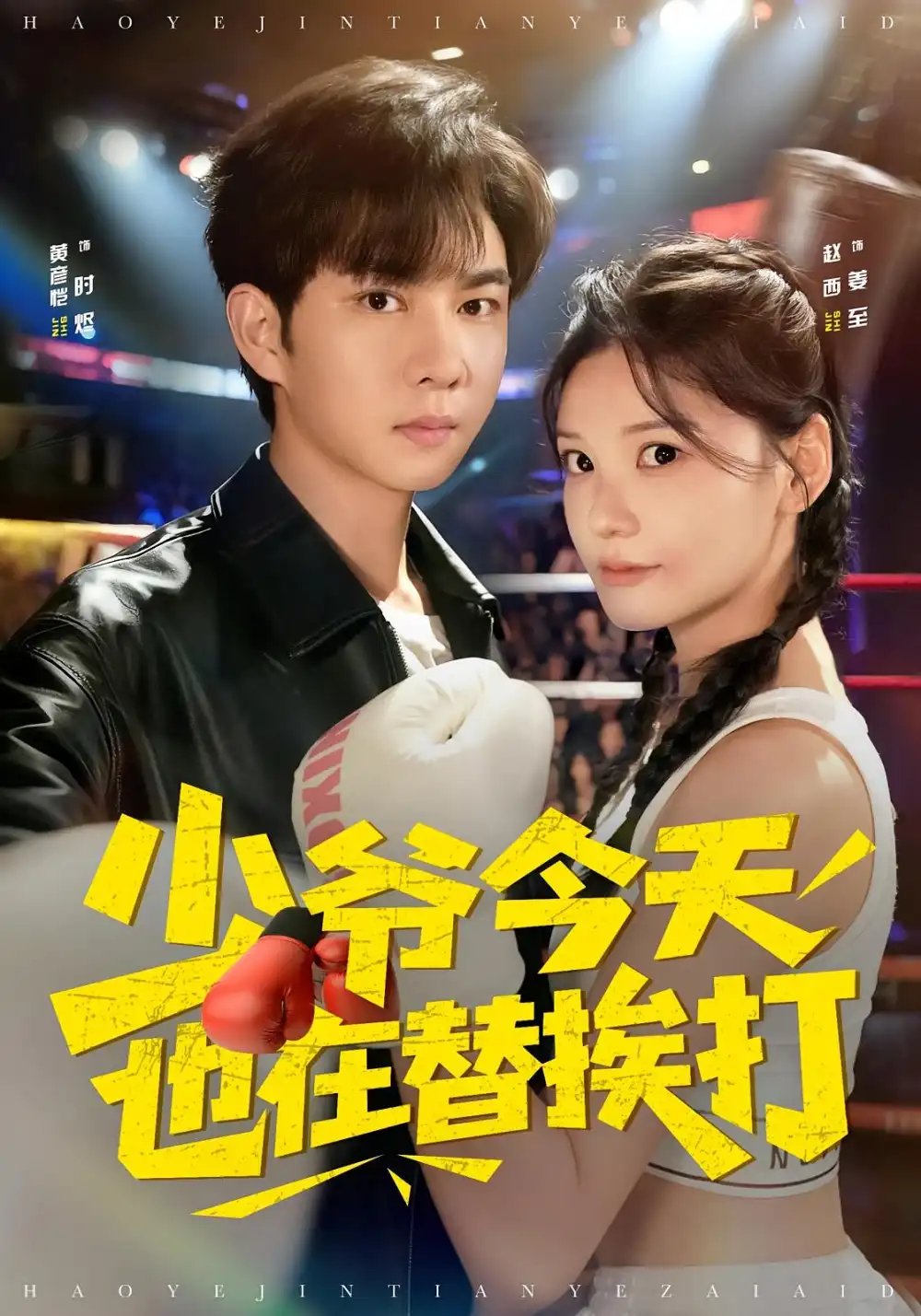 少爷今天也在替挨打全集