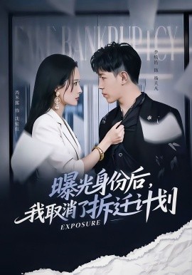 曝光身份后，我取消了拆迁计划全集