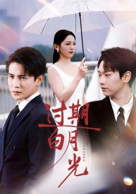 过期白月光全集