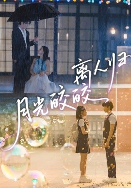 月光皎皎离人归全集