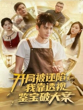 开局被诬陷，我靠透视鉴宝破大案全集