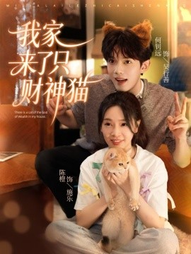 我家来了只财神猫全集