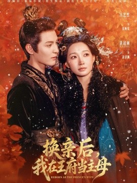 换亲后，我在王府当主母全集