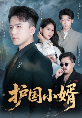 护国小婿全集