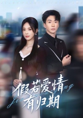 假若爱情有归期全集