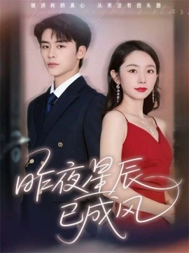 昨夜星辰已成风全集