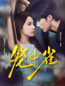 笼中雀短剧全集