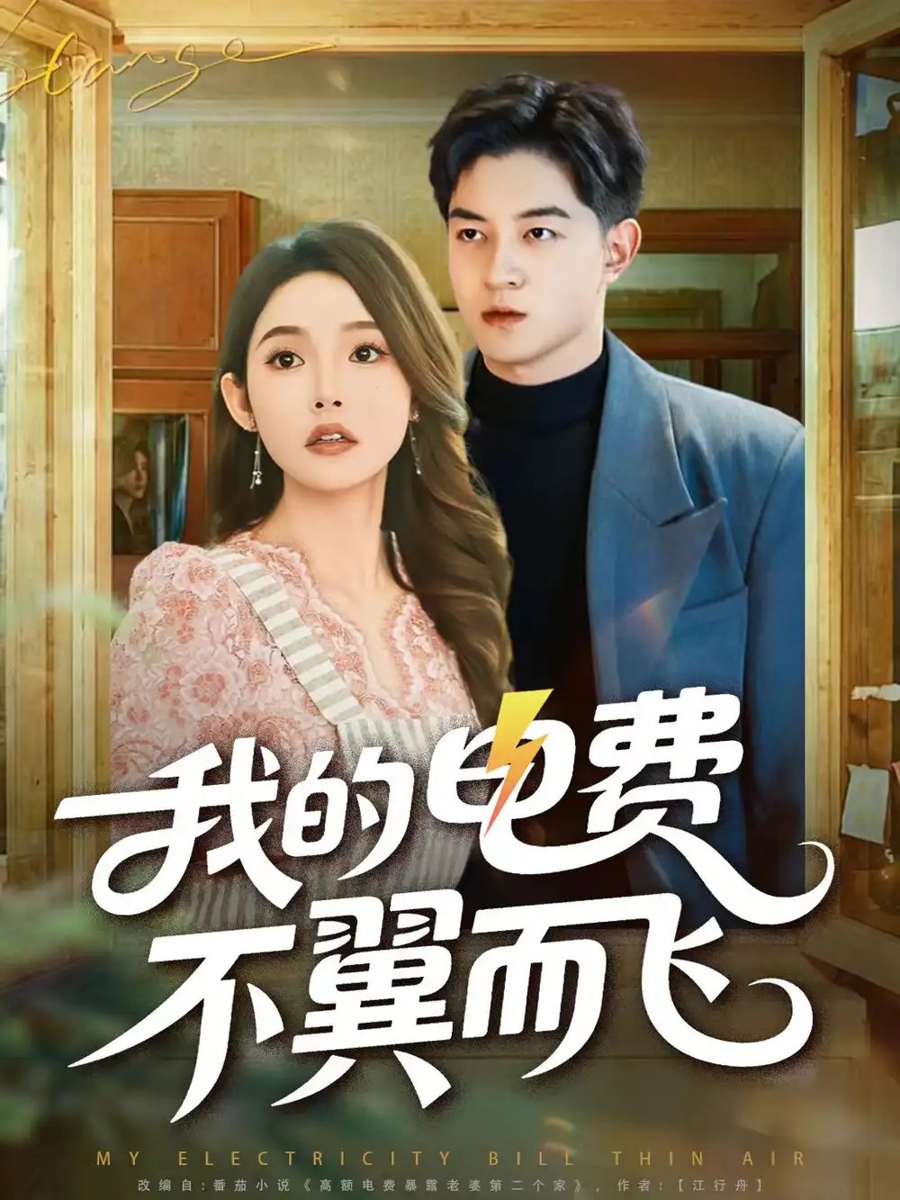 我的电费不翼而飞全集
