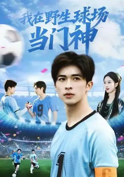 我在野生球场当门神全集