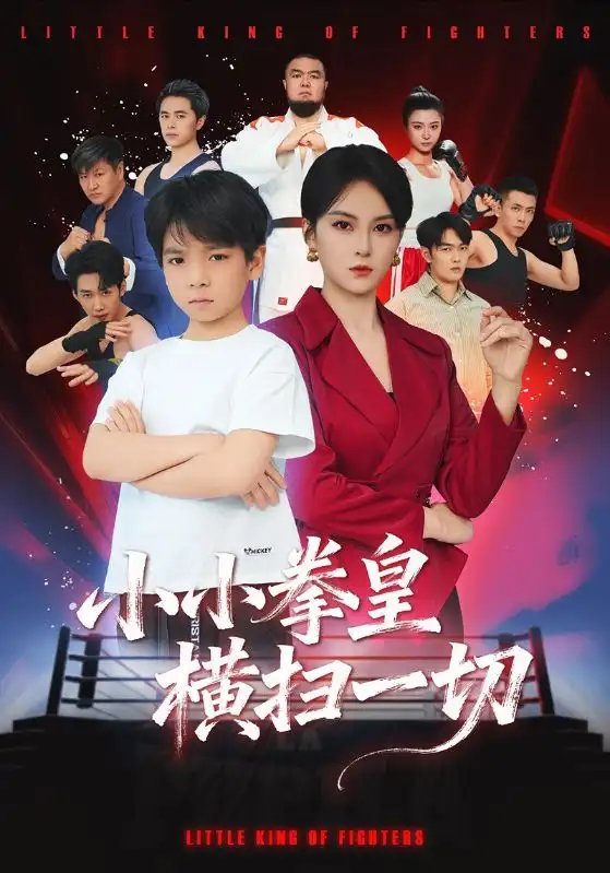 小小拳皇横扫一切全集