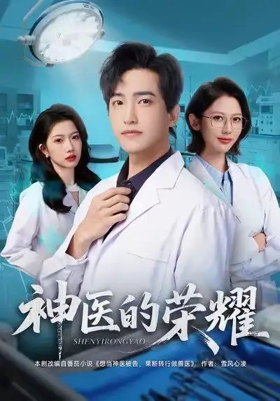 神医的荣耀全集