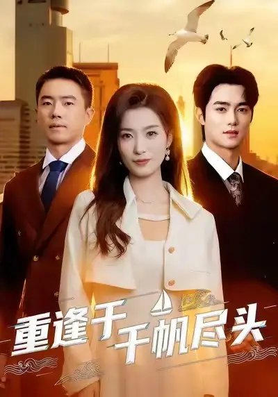 重逢于千帆尽头全集