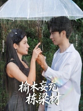 榆木妄充栋梁材全集