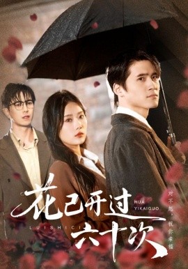 花已开过六十次 情敌交手她选择躺赢全集
